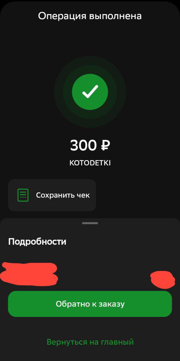 Скрин пожертвования №1